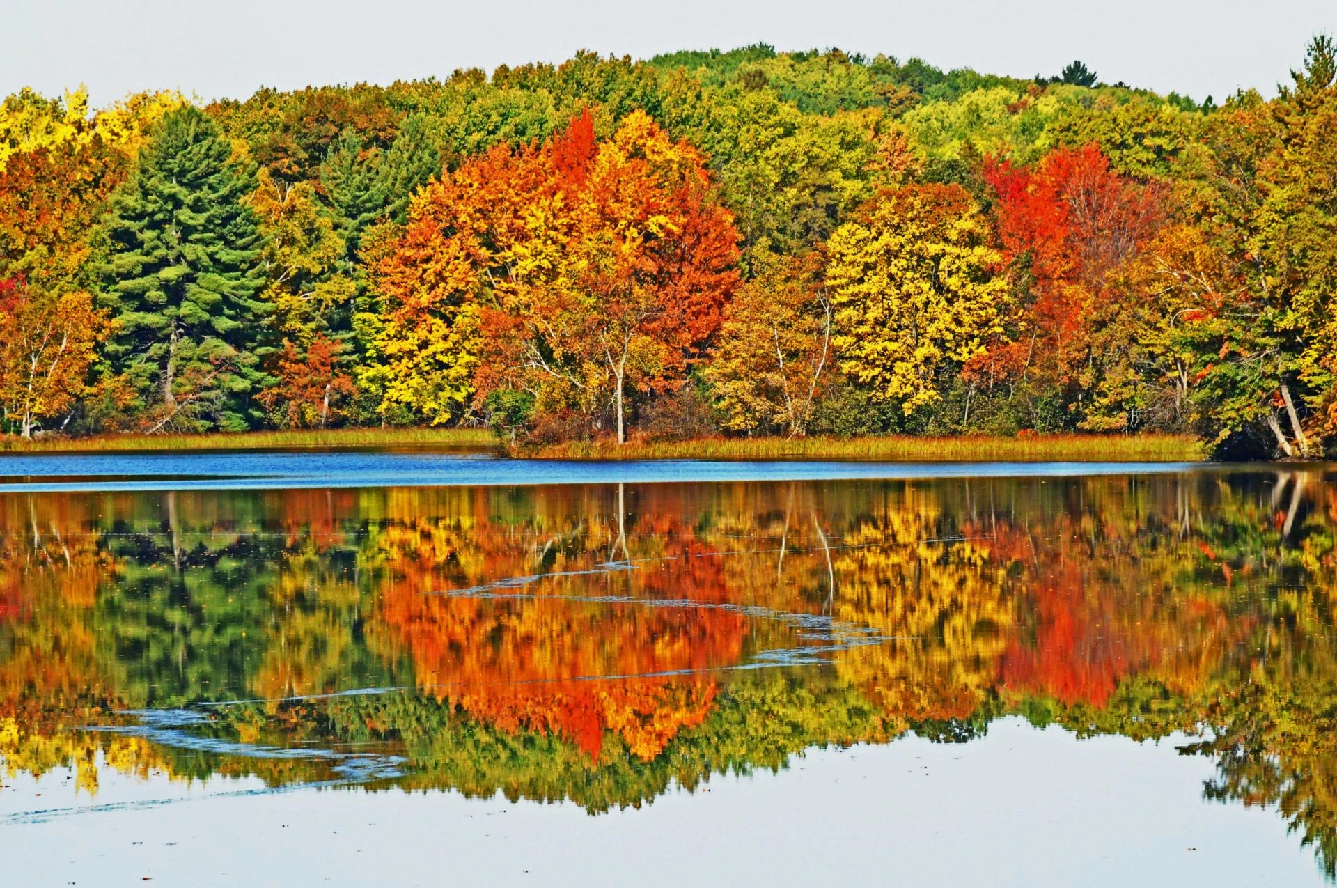 Copper Harbor MI: Ultimate Guide to Michigan’s Hidden Gem