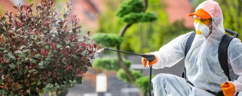 Comprehensive Pest Control Services in Gujranwala – Bedbugs, Mosquitoes, and Cockroach Treatment