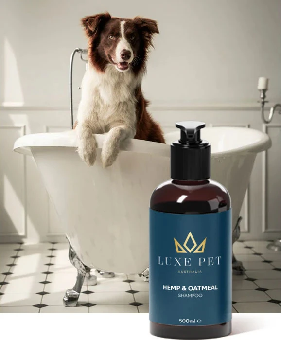 Why Do You Need to Have Pet Shampoo & Conditioner Having Rosehip and Hemp Seed Oil?