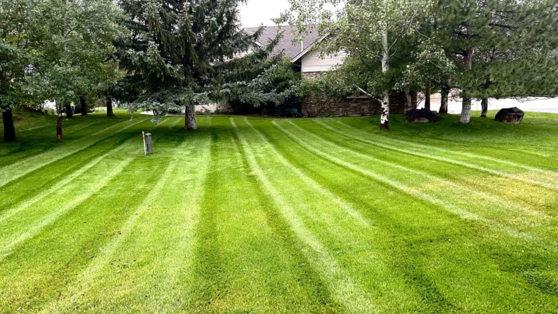 Want to Know How to Maintain a Healthy Lawn? Here’s the Reliable Fix