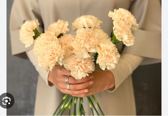 The Most Popular Flowers for Everyday Occasions