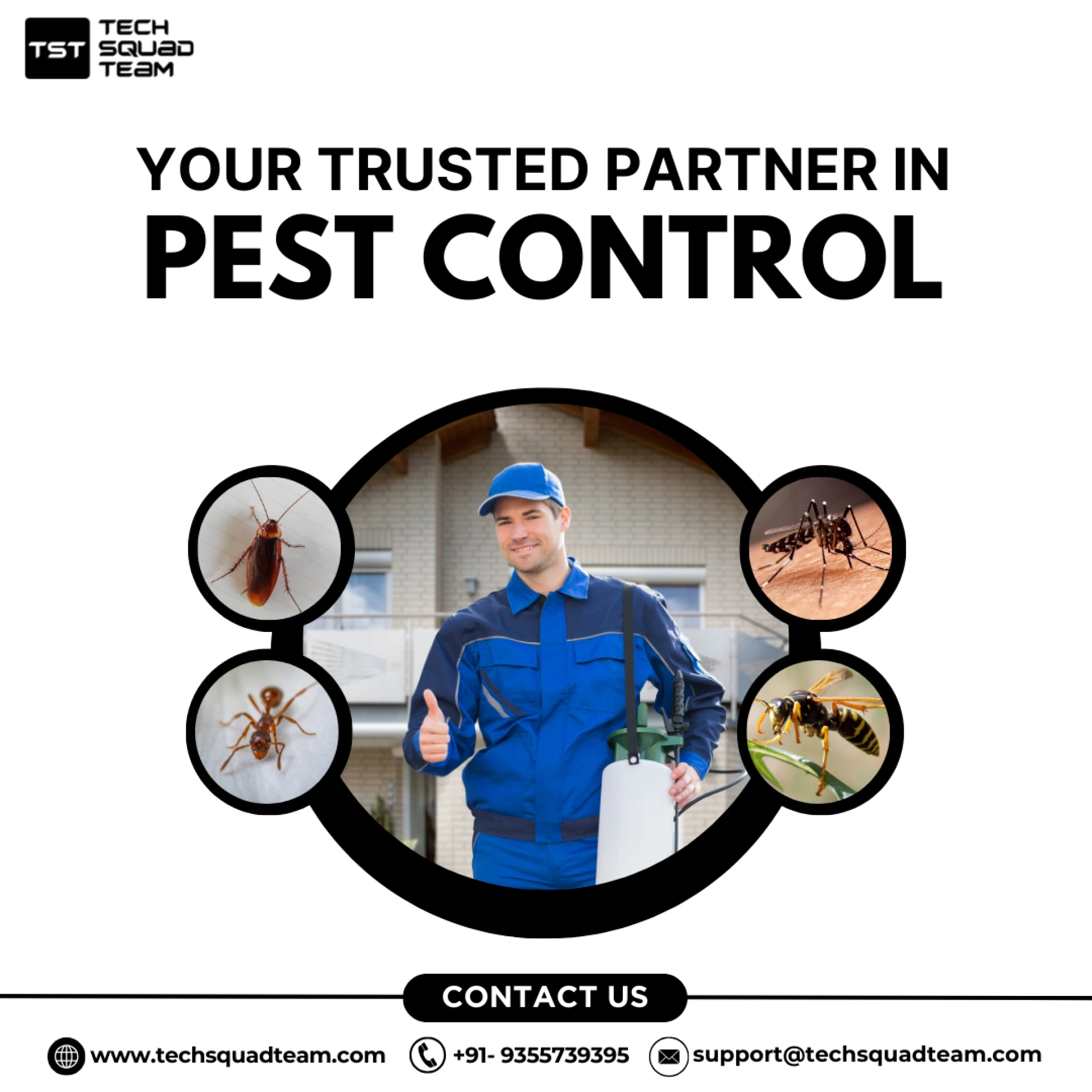 Cockroach control services in noida
