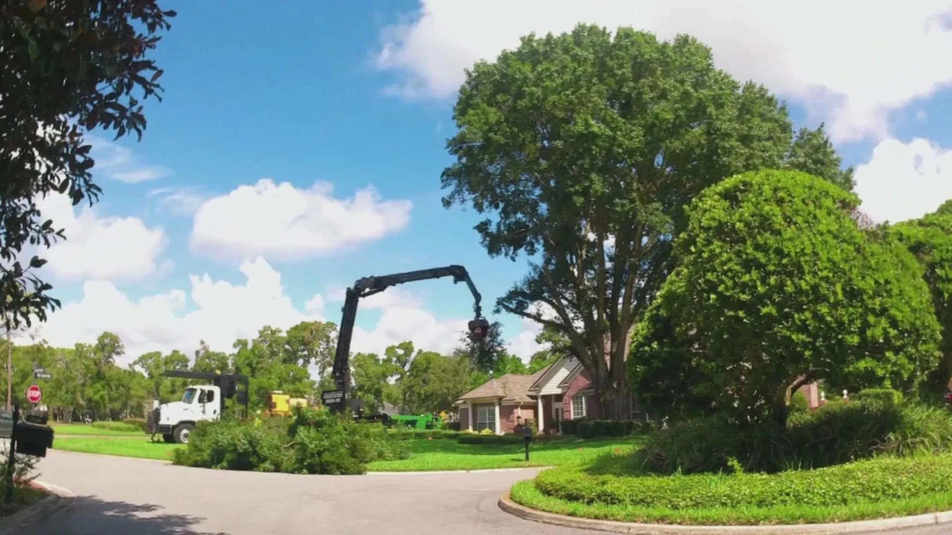 Why Professional Tree Care Matters for St. Johns and Orange Park Homes?