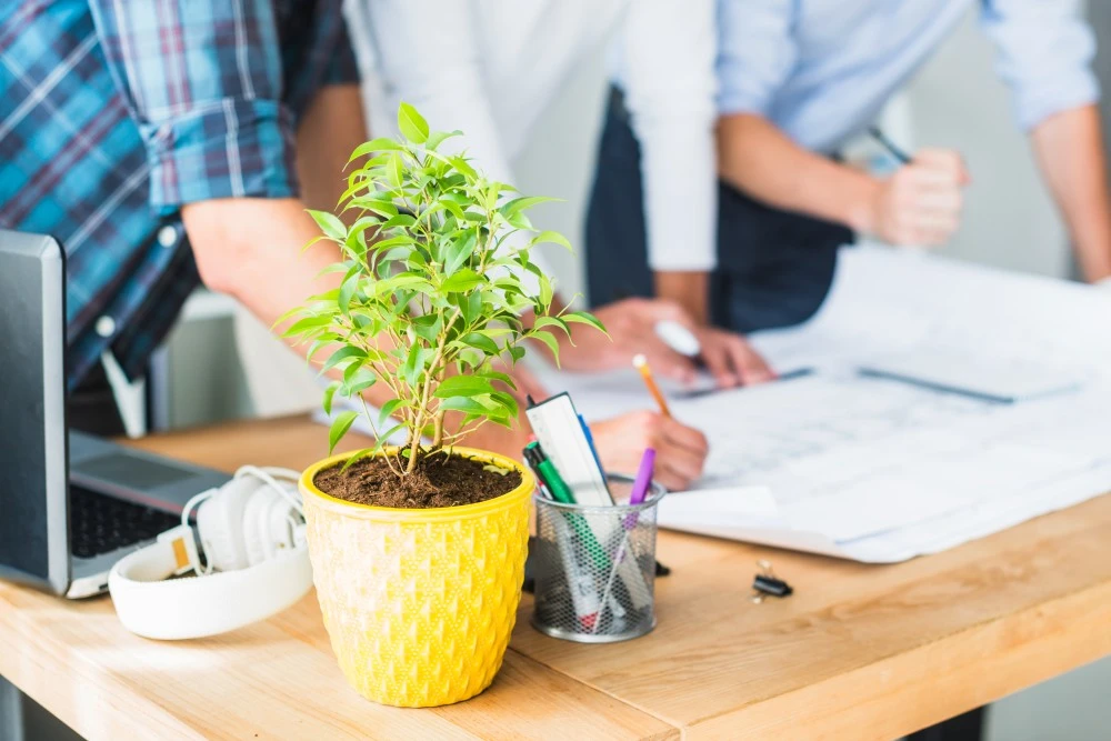 Simple Ideas for Making Offices Greener and Healthier