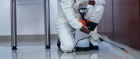 Pest & Termite Control in Islamabad – Professional Pest Management