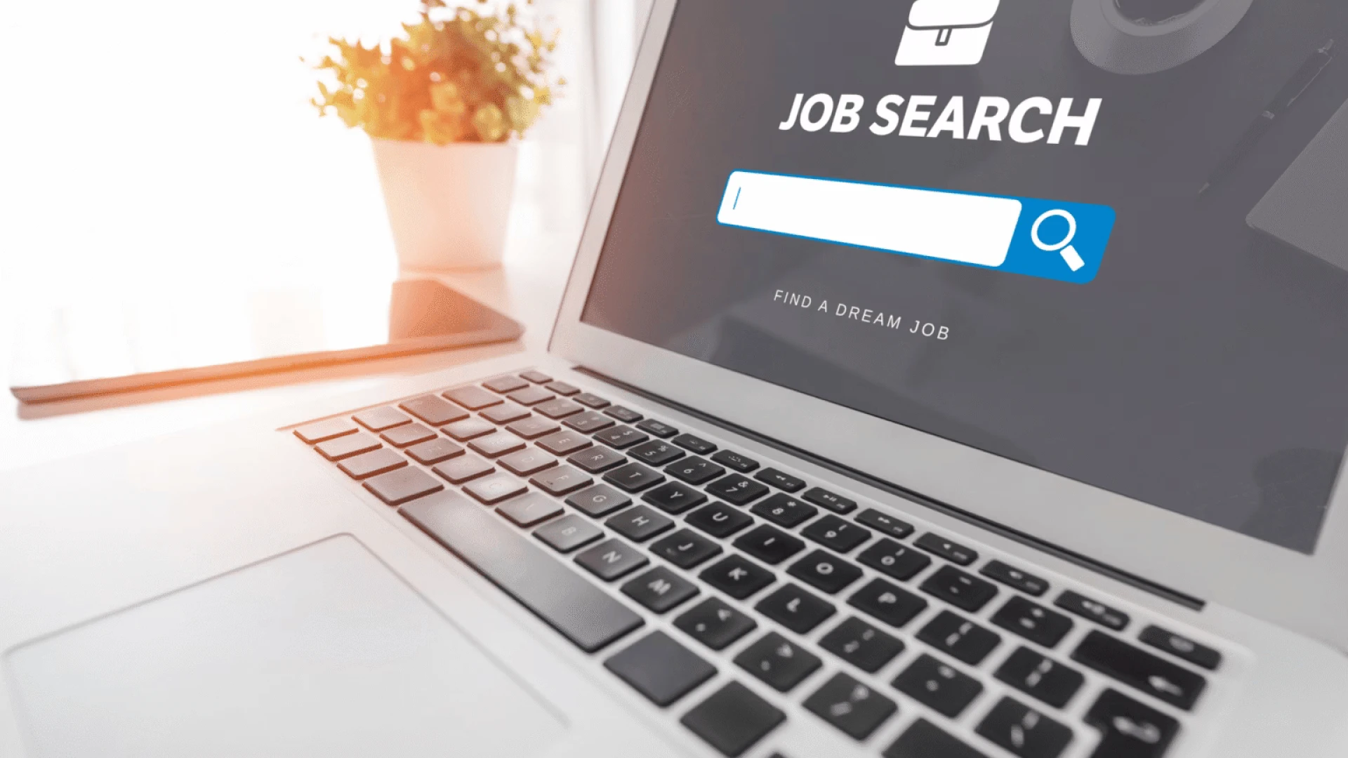 What Do Non-IT Careers Become When Most Students Attend IT?