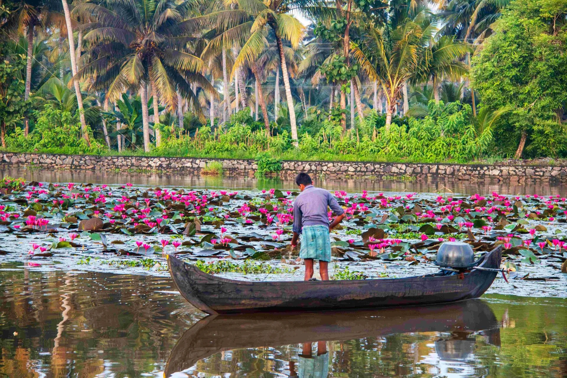 Kerala Tour Packages: Explore Backwaters, Beaches and Hills
