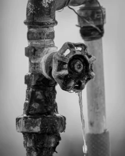 Common Causes of Sewer Line Damage and How CA Plumbing Point Inc Can Help