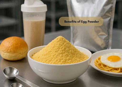 Buying in Bulk: Best Egg Powder Supplier for Your Business