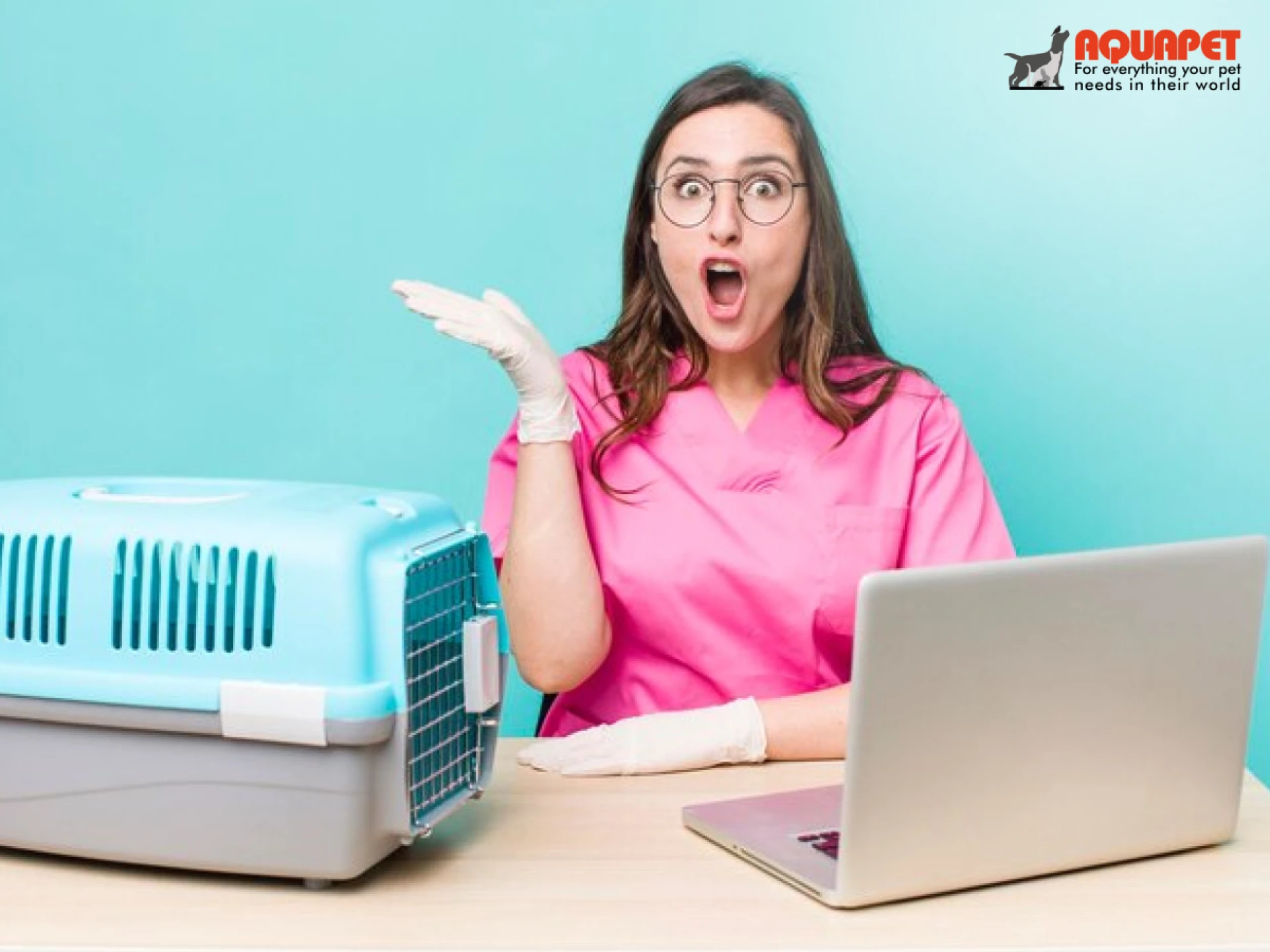 🐾 Premium Pet Care & Quality Cat Food in Kenya – Aquapet 🐱