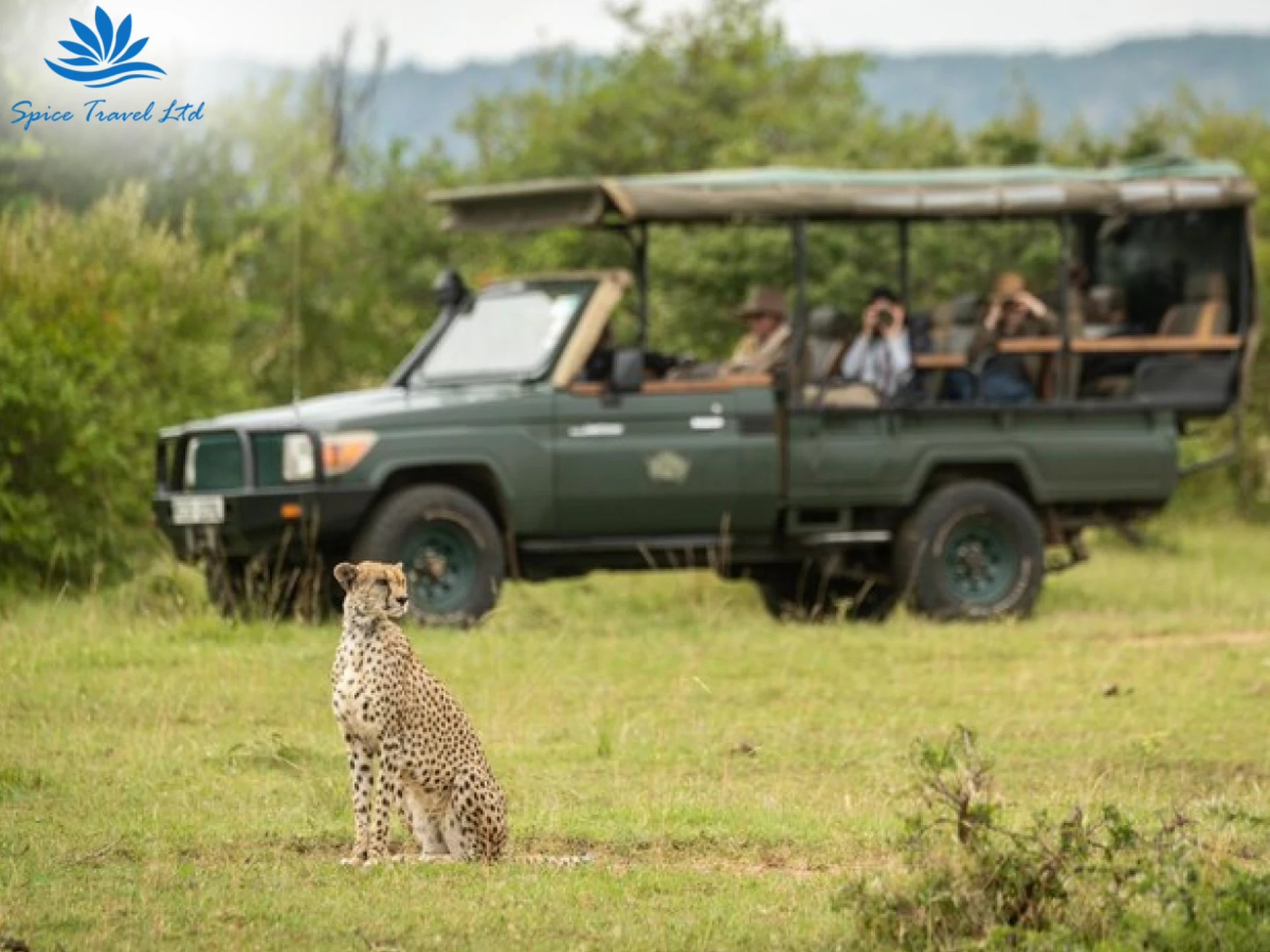 Spice Travel: Your Gateway to Unforgettable Journeys ✈️🌍