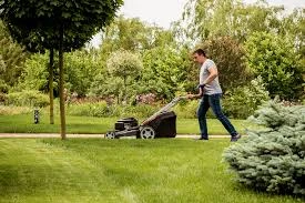Boost Grass Growth with Expert Yard Maintenance Techniques