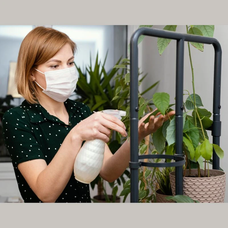 How I Learned to Listen to My Indoor Garden