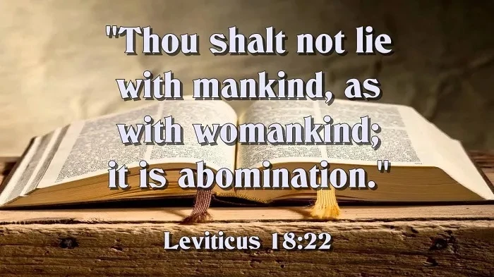 What Is the Meaning of Leviticus 18:22？