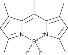 BODIPY 493/503 Sale
