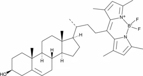 BODIPY-Cholesterol (Synonyms: BCh2)
