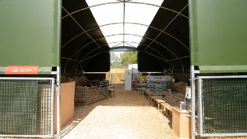 Hale inwentarskie dla krów | Projekt ograniczający ryzyko mastitis