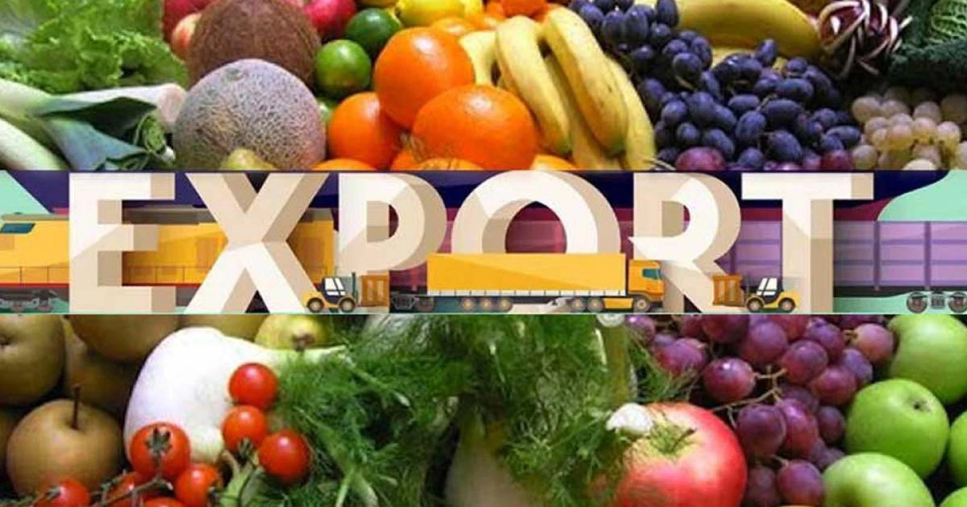 Pakistan’s Growing Legacy in Fresh Fruit and Vegetable Exports