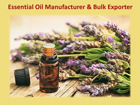 A Step-by-Step Guide to Sourcing Essential Oils from AG Organica