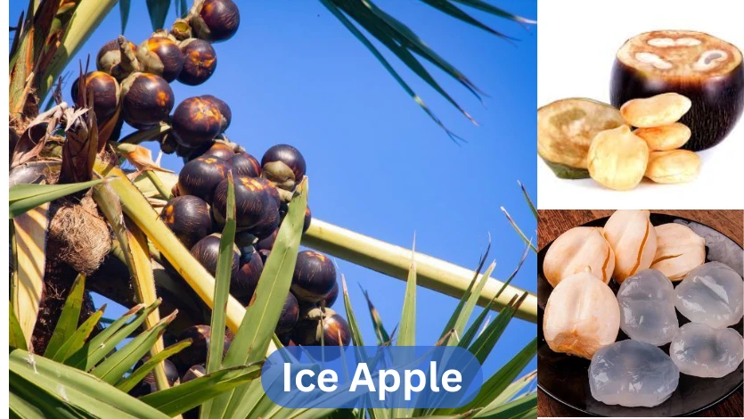 10 Incredible Ice Apple Benefits That Will Keep You Cool, Hydrated, and Healthy All Summer Long 