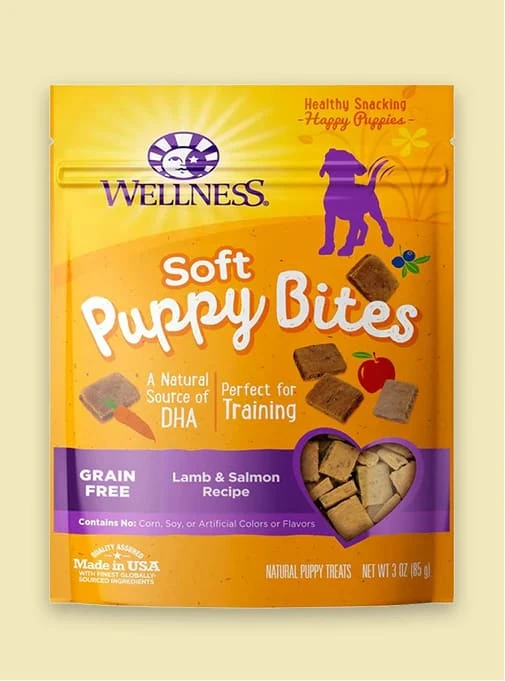 Why Choosing Organic Pet Supplies Is the Best Decision for Your Pet’s Health