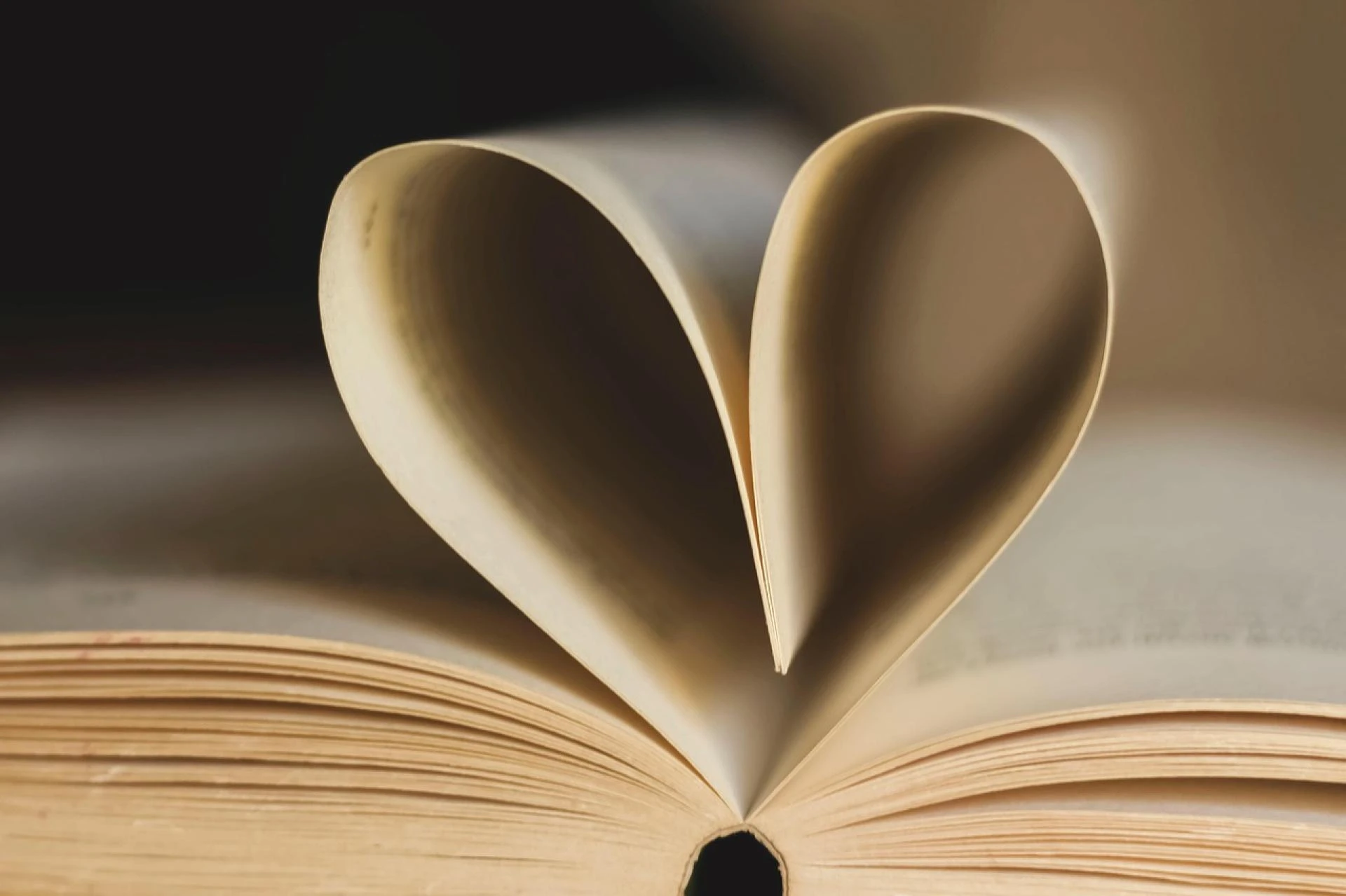Woodfree Paper Market Forecast to 2030: Trends in Non-Coated Paper Adoption Across Printing Industry