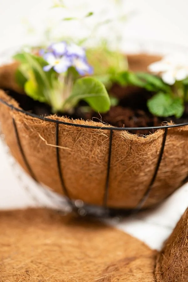 Coco Hanging Basket Liner: Natural Beauty for Healthy Plants