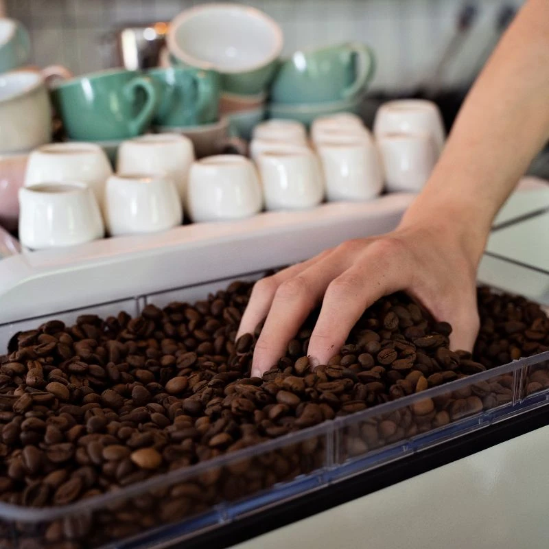 Empty Cup and Clean Conscience: Wholesale Specialty Coffee Suppliers with Integrity