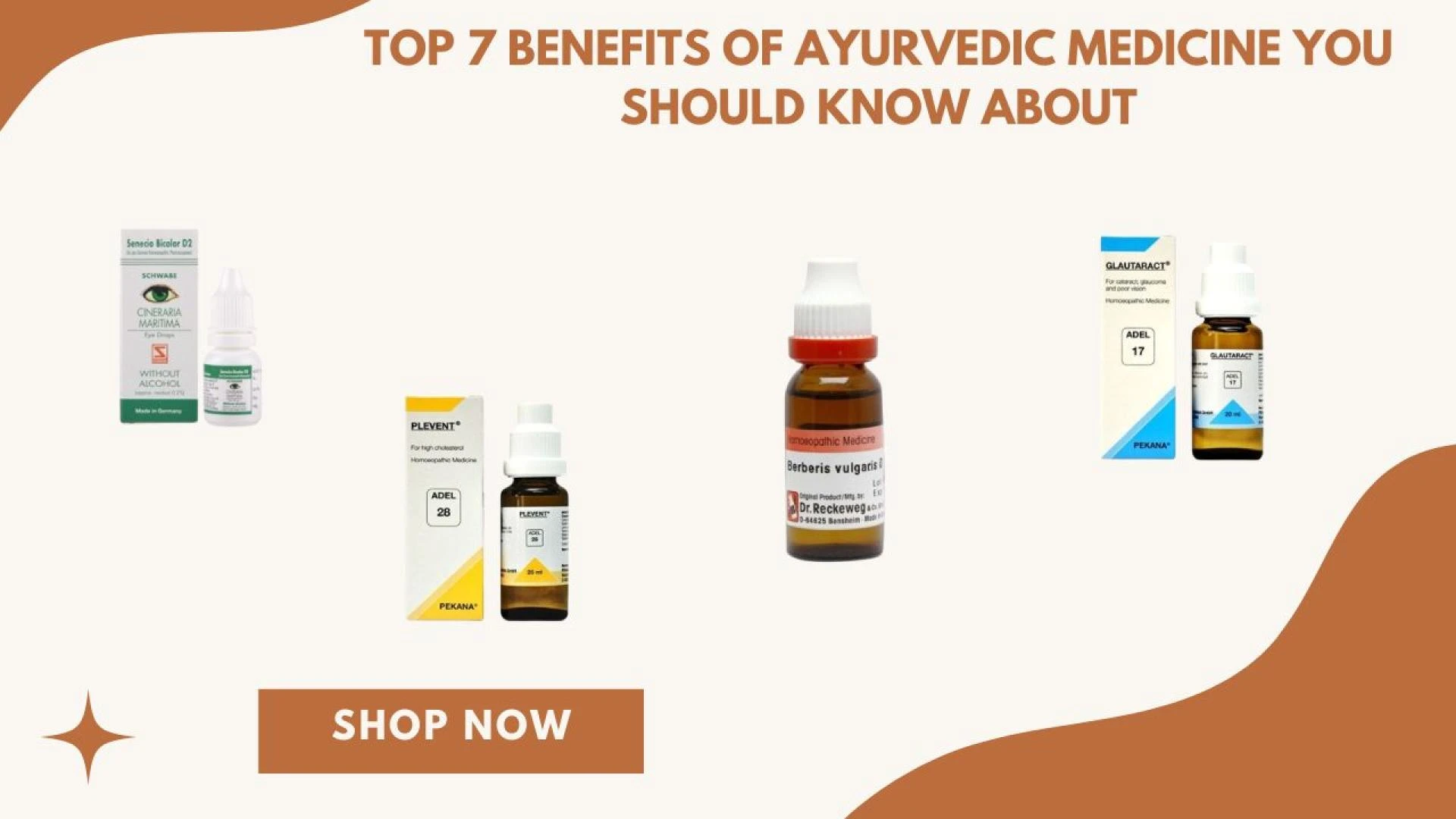 Top 7 Benefits of Ayurvedic Medicine You Should Know About