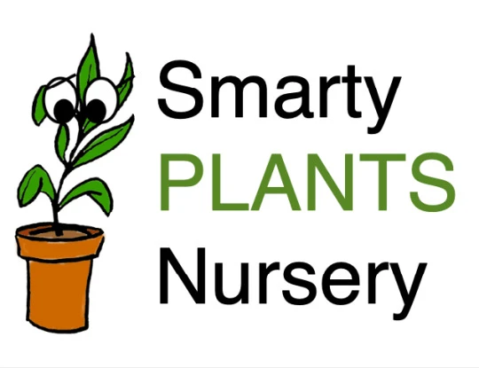 Why Residents Are Turning Their Patios Into Plant Havens