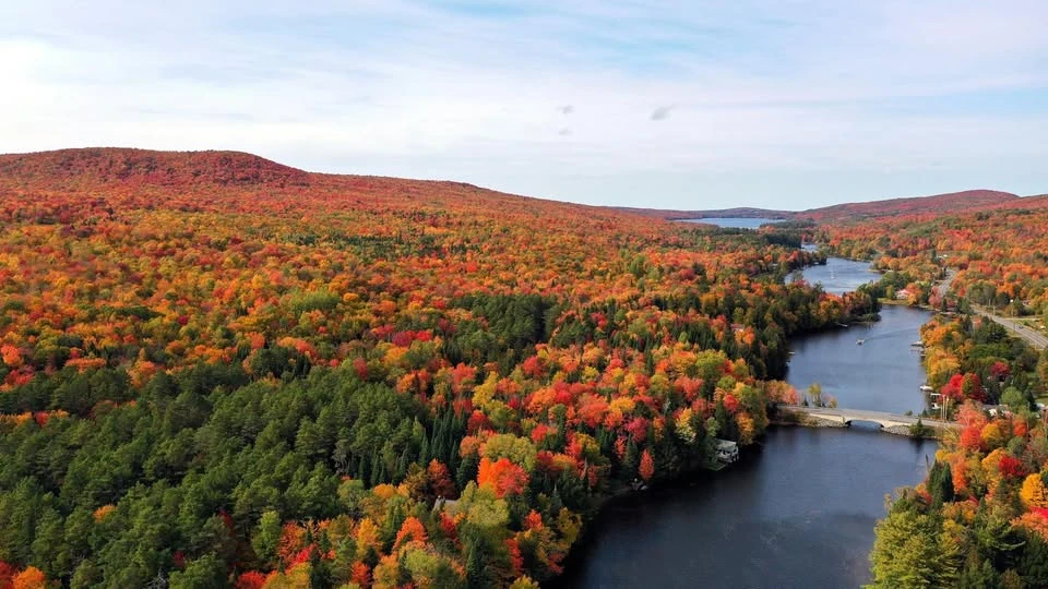 Summer Camp Photos: How to Capture the Magic (and Keep It Organized)