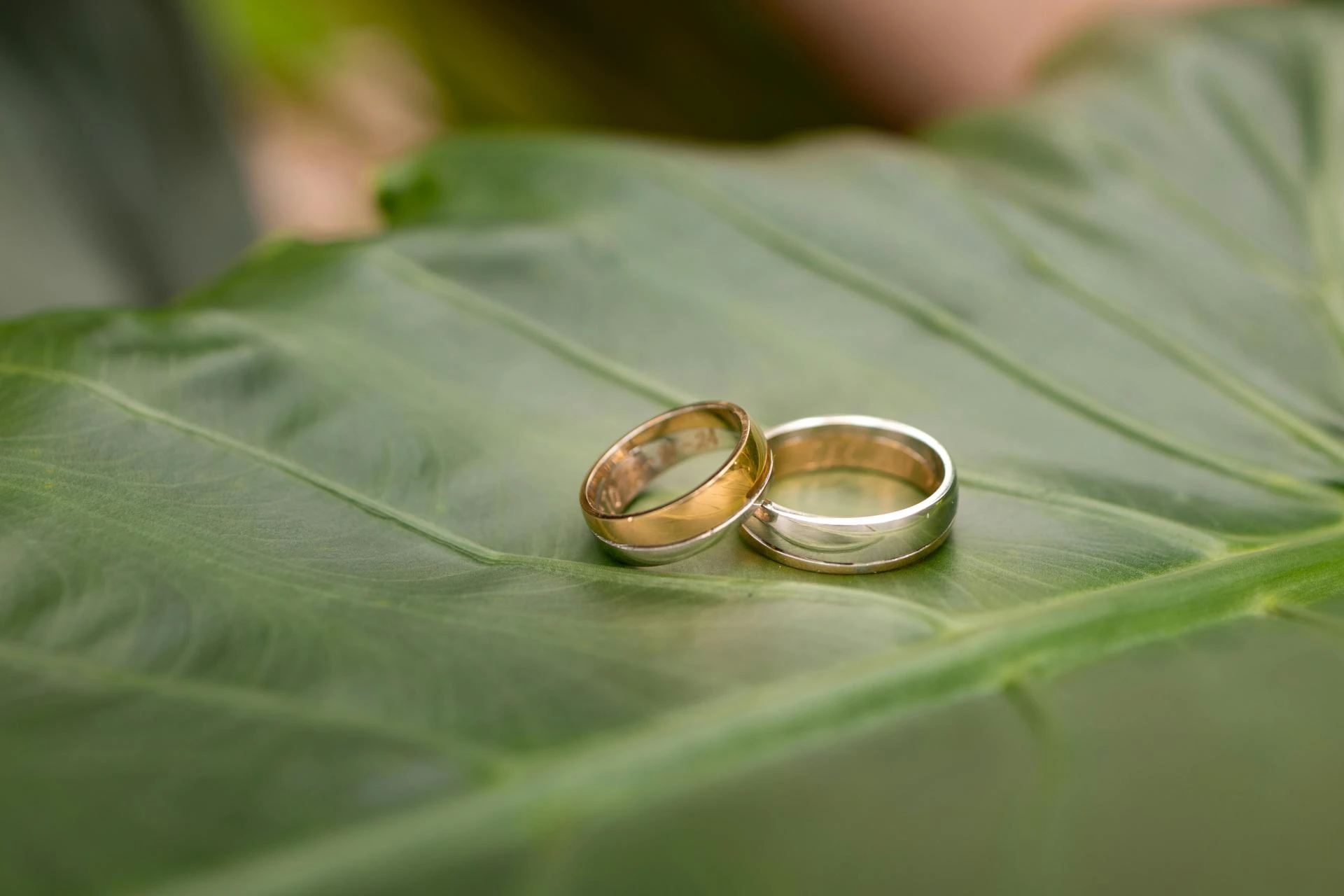 The Rise of Two Tone Wedding Bands: London’s Must-Have Rings