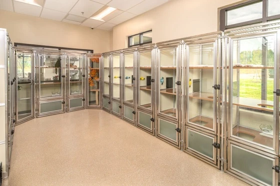 Top Cat Boarding Options in Spring Hill, FL