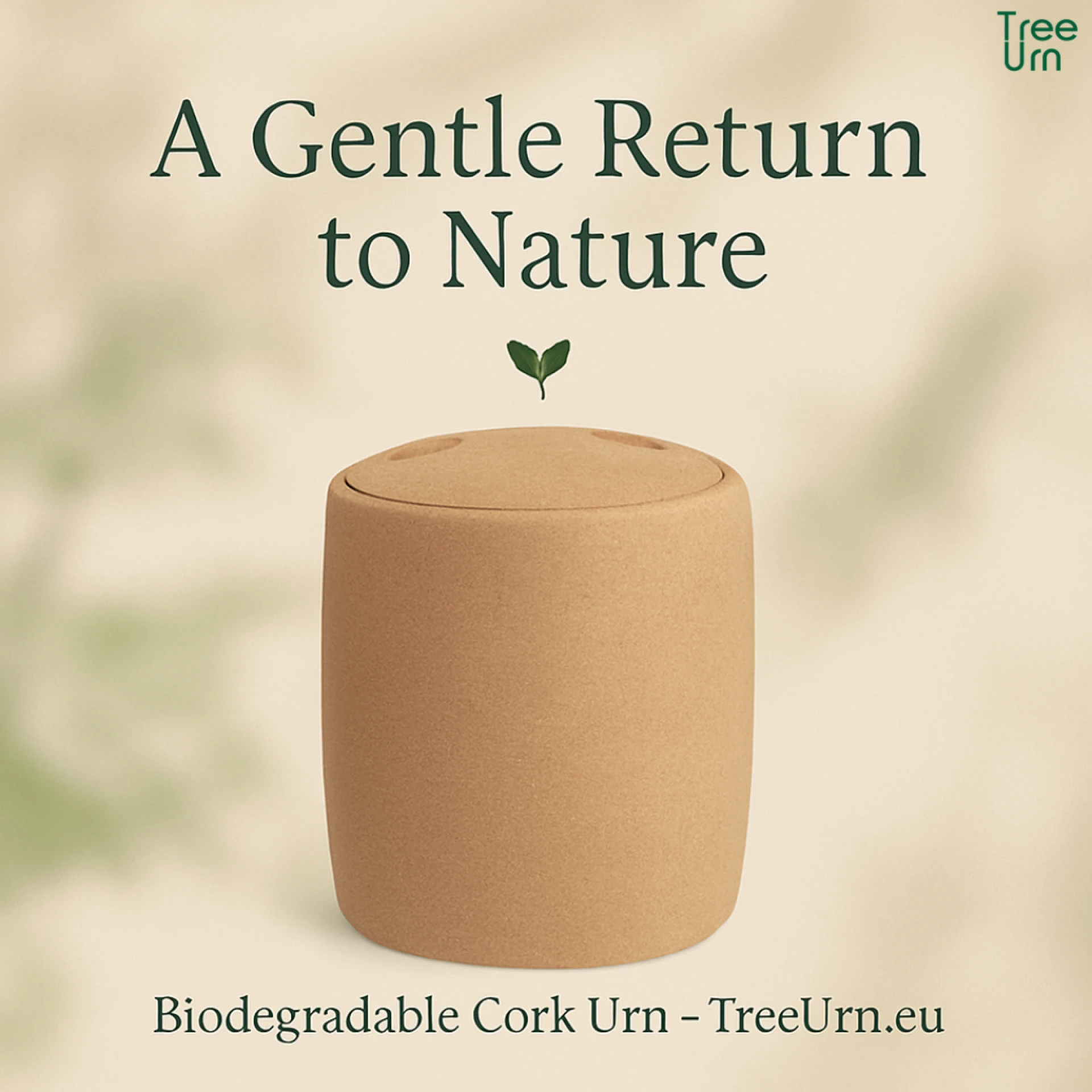 Biodegradable, Compostable & Eco-Friendly Urns: What You Should Understand