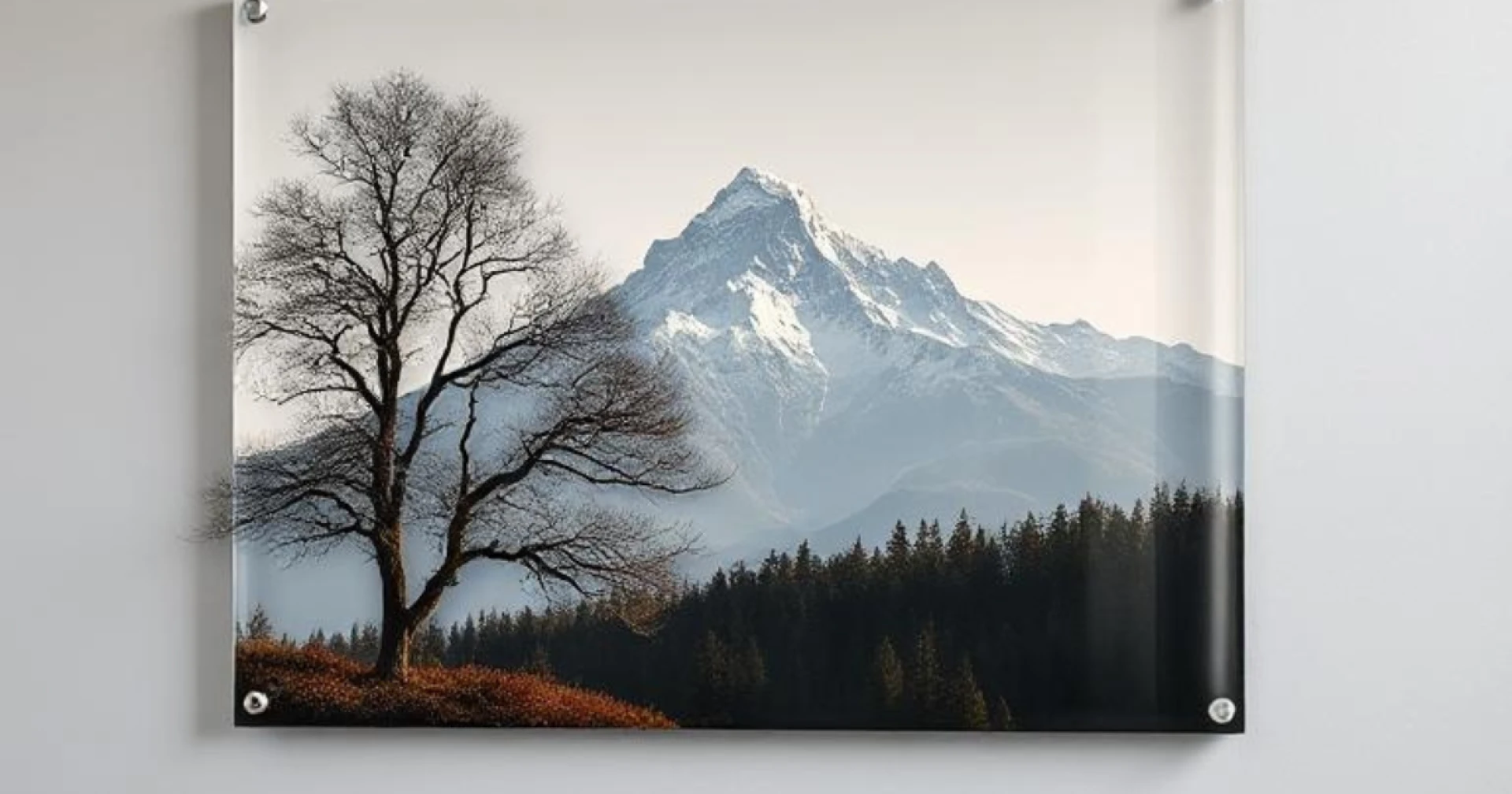 Best Custom Acrylic Photo Printing Services in Dubai for Stunning Decor