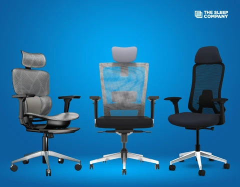Office Chairs 2025: The Smart Way to Sit, Work & Stay Comfortable All Day