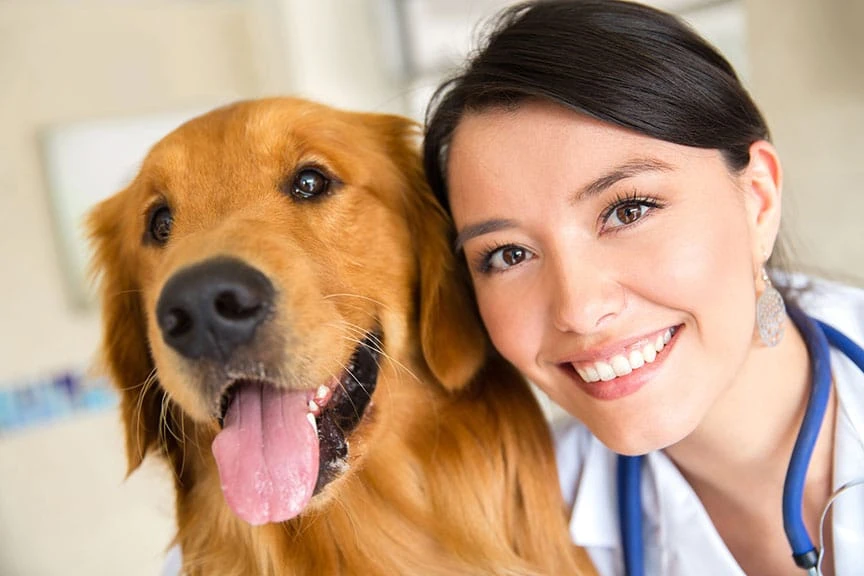 Beyond Care: How Modern Vet in Dubai Redefines the Concept of a Veterinary Clinic