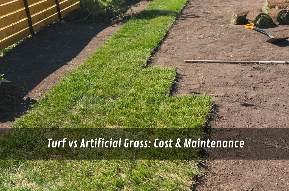 Turf vs Artificial Grass: Cost & Maintenance