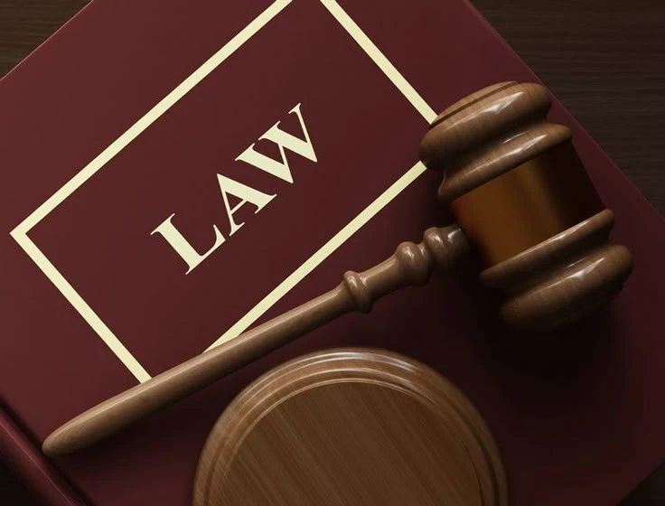 Truck Accident Lawyer Queens – Protecting Victims of Serious Collisions