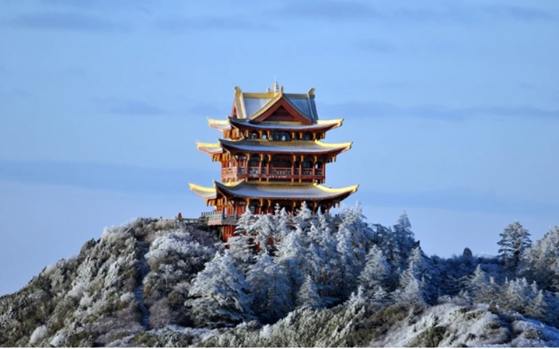 Blossoms and Balance: Exploring China’s Wildflower Wonders