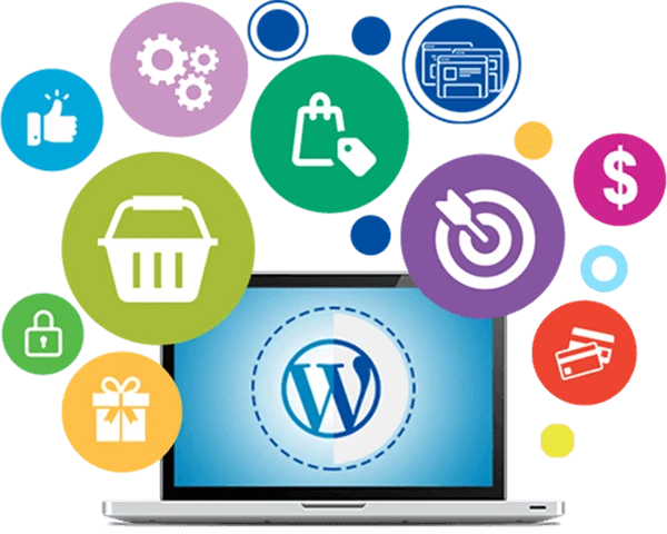 Best Wordpress Development Services In Jaipur | Liyan IT Solution