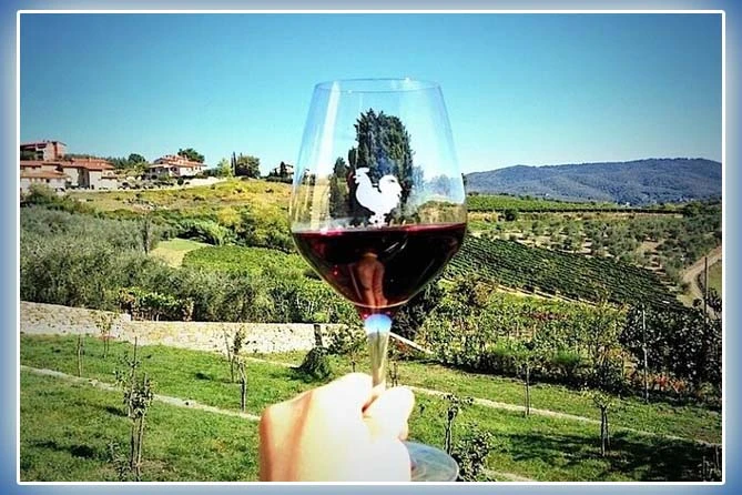 Private Wine Tour Itineraries That Follow the Vineyard, Not the Clock