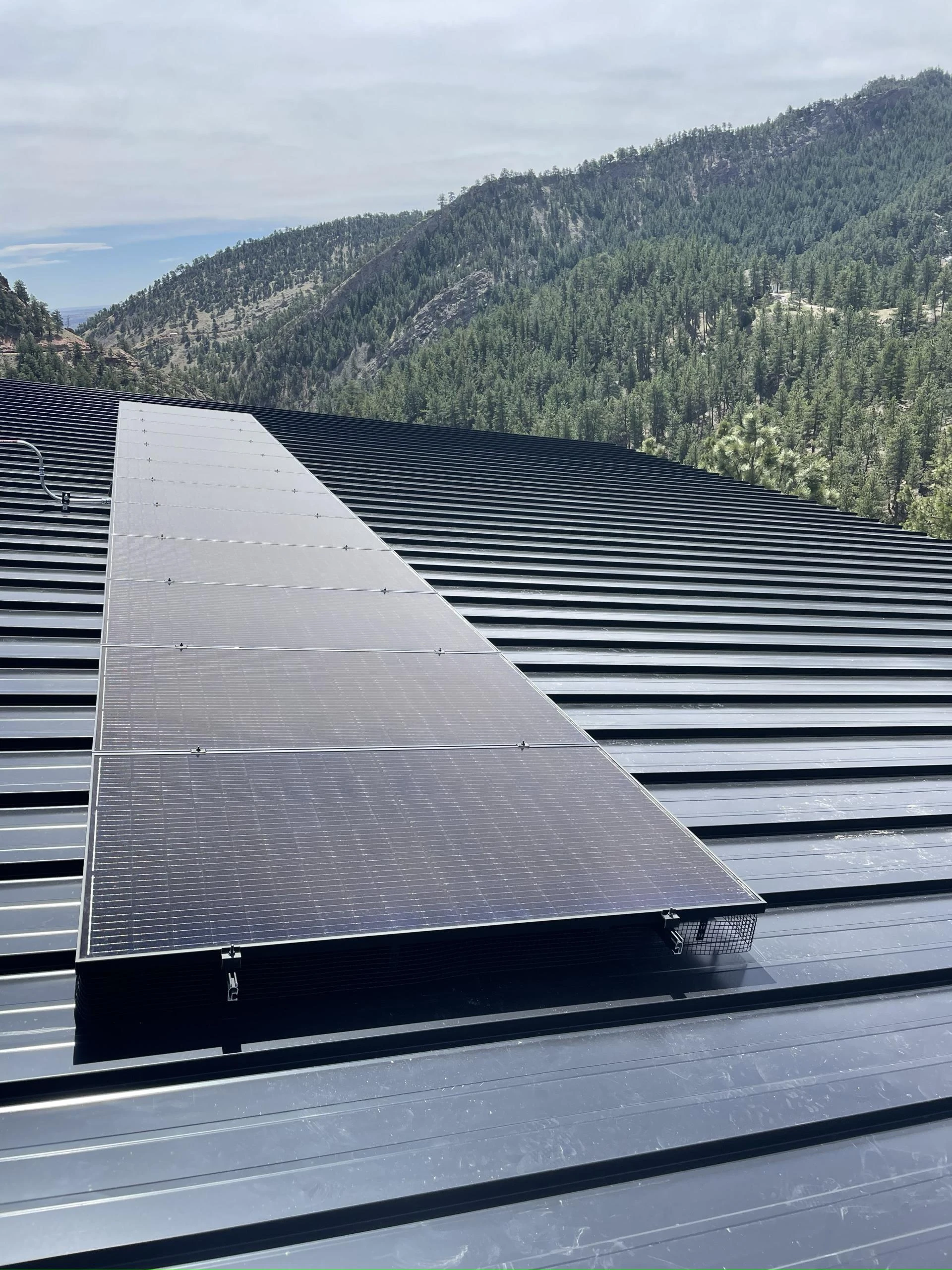 Powering Smart Living: How Larkspur Homes Can Balance Energy Demand with Solar Solutions 