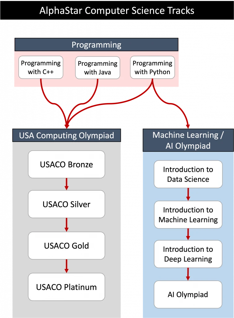 Coding the Challenge: Strategies for Effective USACO Training