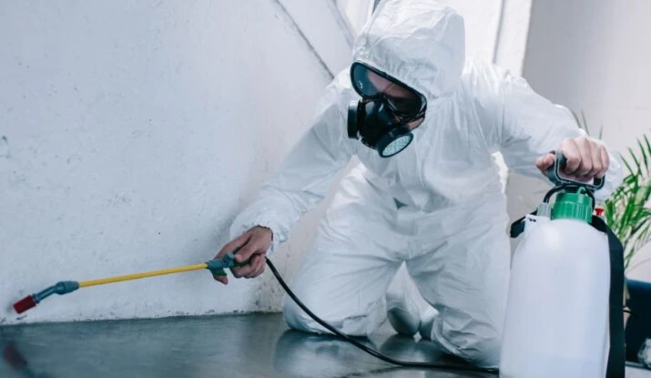 Creating a Healthier Home with Trusted Pest Control in the UAE