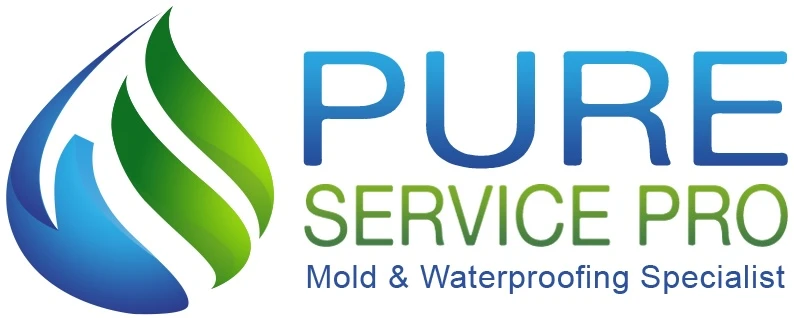 Why Every Home Needs Routine Sump Pump Care for Peace of Mind