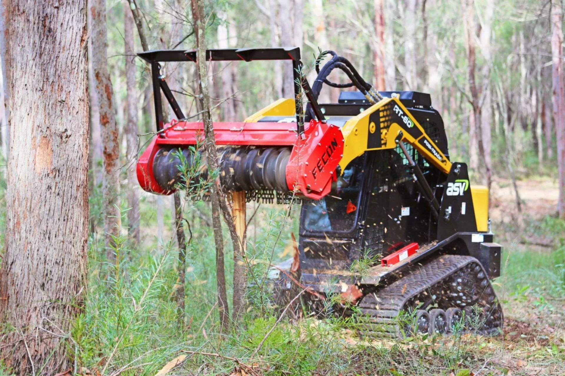 What Should You Know Before Buying a Skid Steer Forestry Mulcher?