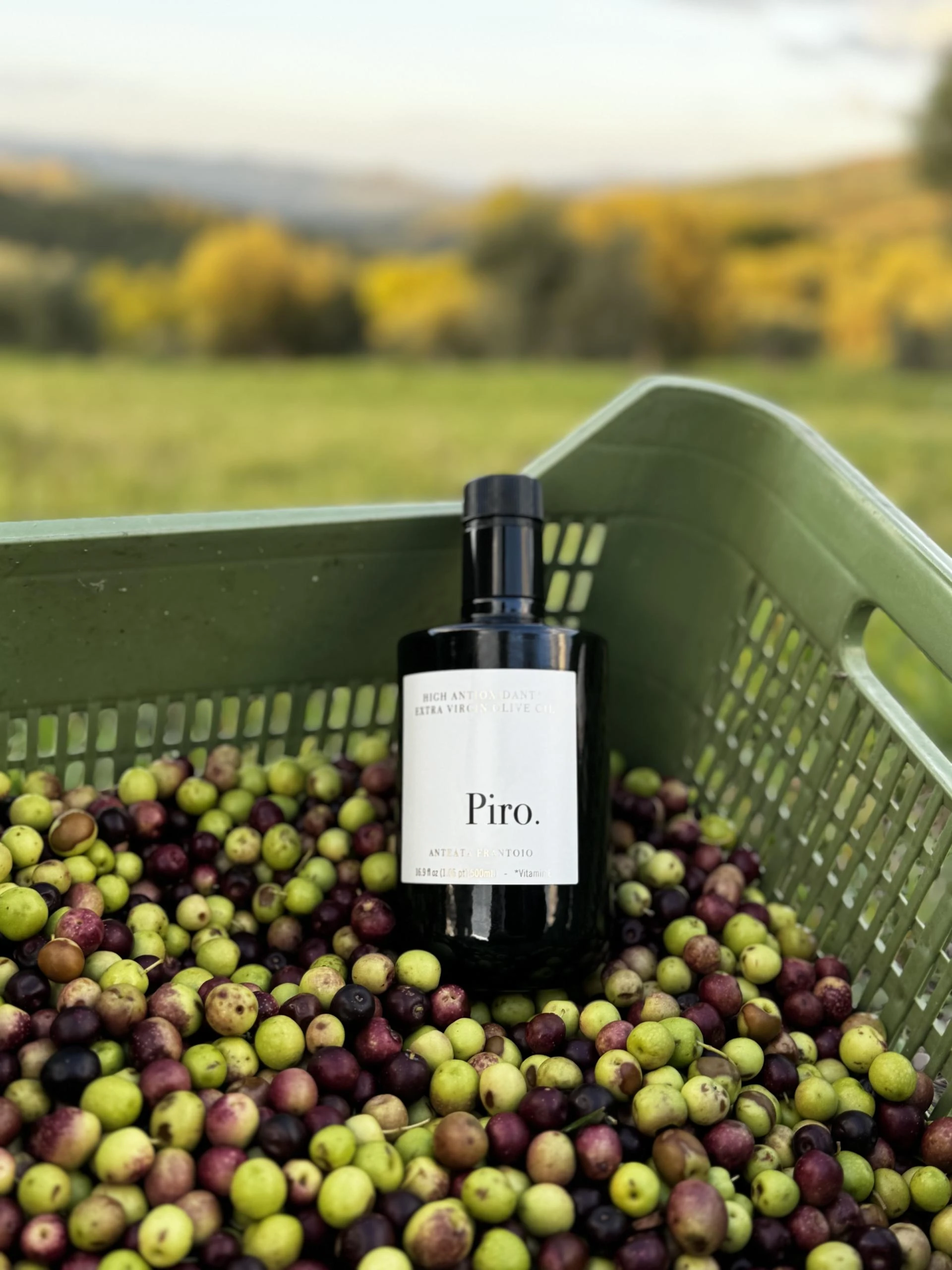 Drinking Olive Oil Daily: The Mediterranean Secret to Health and Longevity