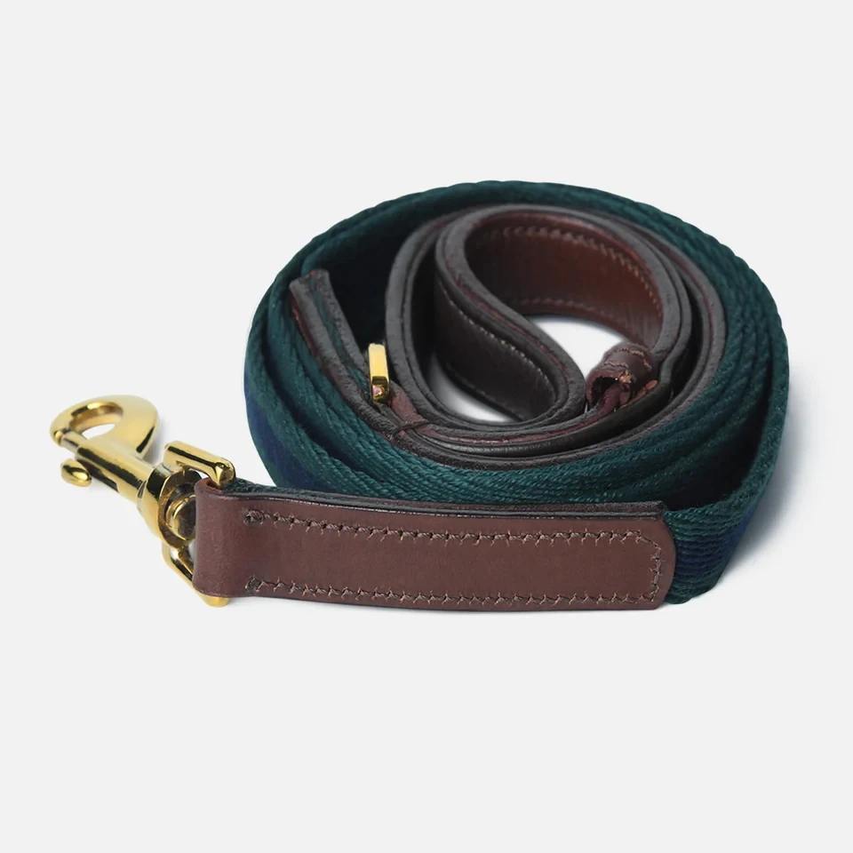 Why Leather Leashes for Dogs Are the Perfect Blend of Style and Strength