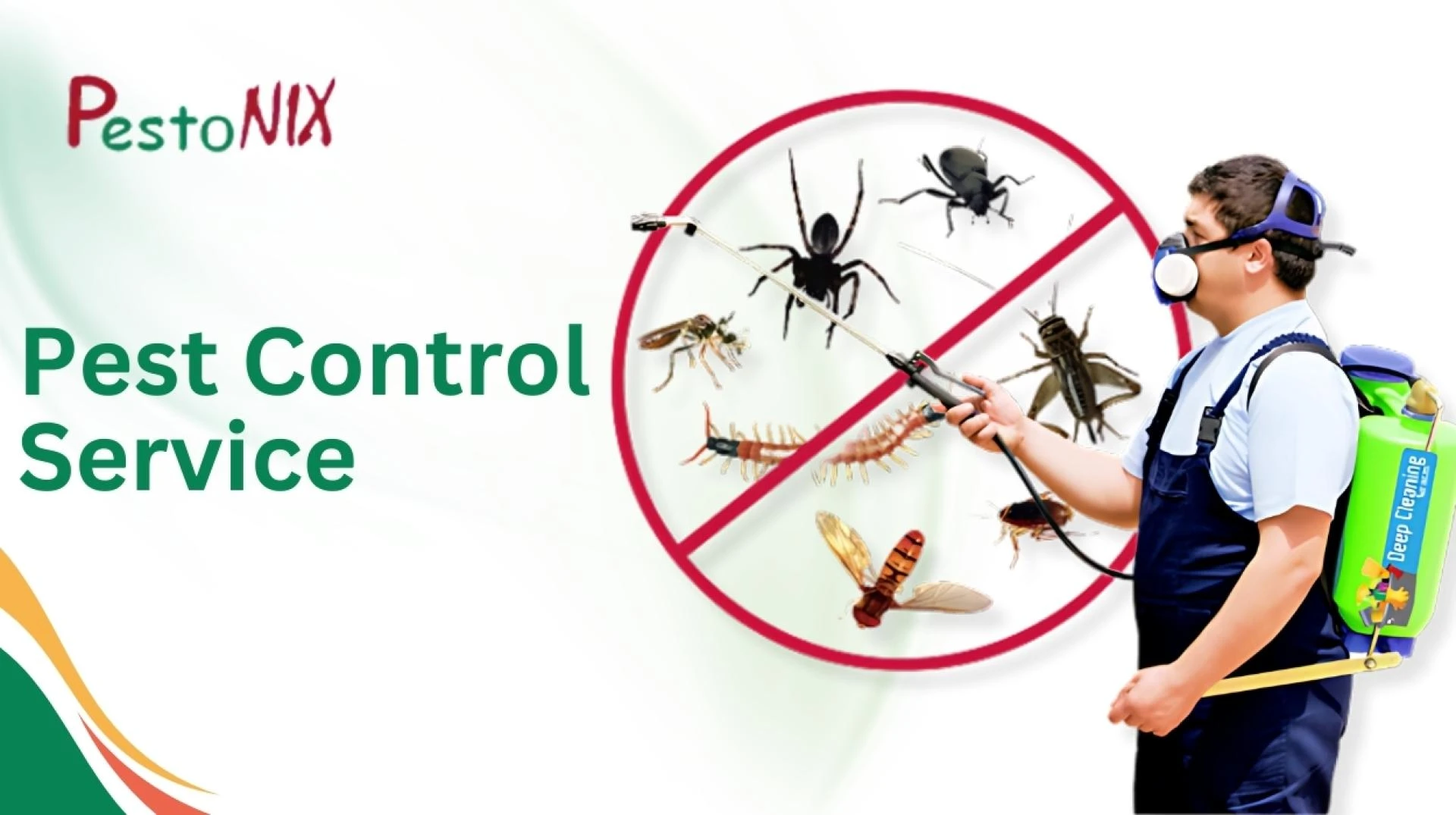 How to Do Pest Control Inspection? 
